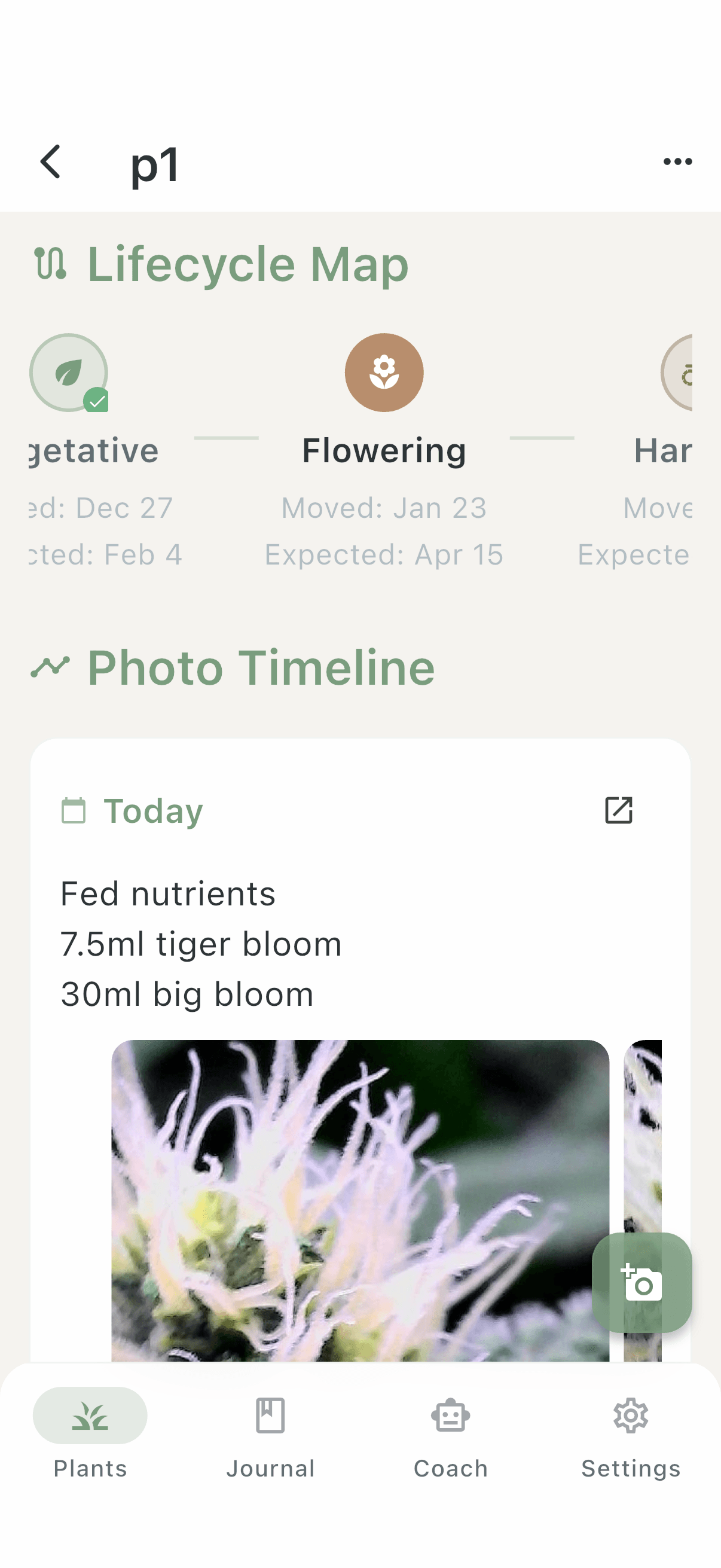 Verdant app showing lifecycle map and photo timeline